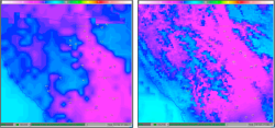 The current minimum temperature forecast grid (left) is too coarse to support a vintner's specific frost protection sprinkling actions. A downscaled and bias corrected minimum temperature grid (right) is designed to provide improved guidance for frost protection actions for individual wineries.